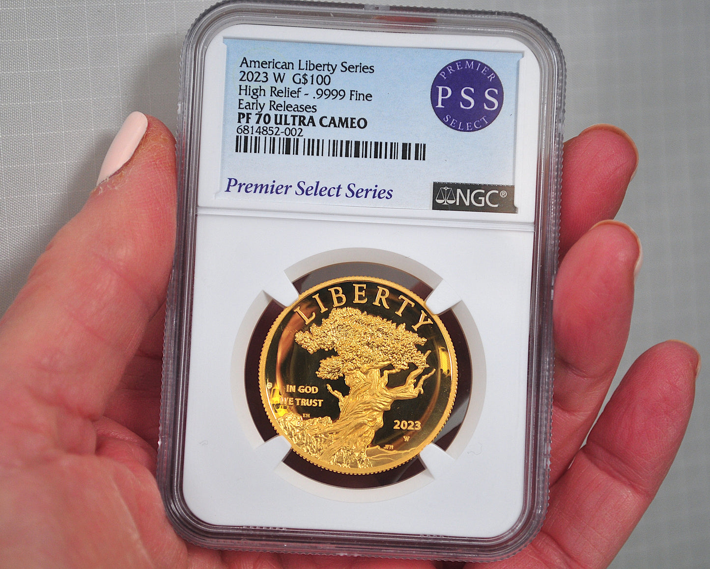 American Liberty Series 1oz Fine Gold High Relief PF70 Coin