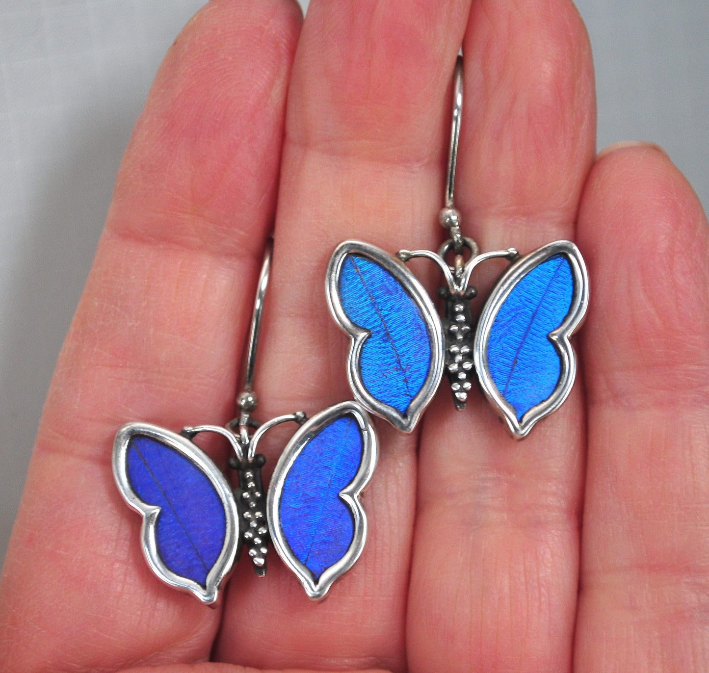 950 Sterling Silver Genuine Butterfly Wing Earrings
