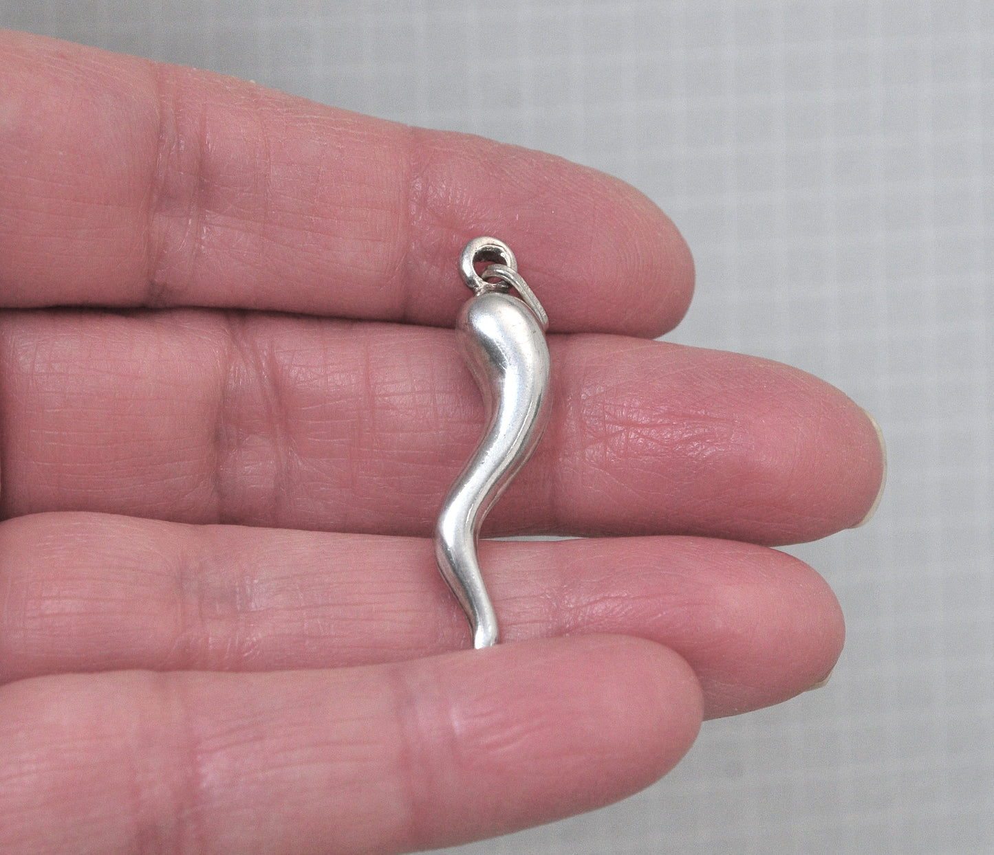 Sterling Silver Italian Horn Pendant
