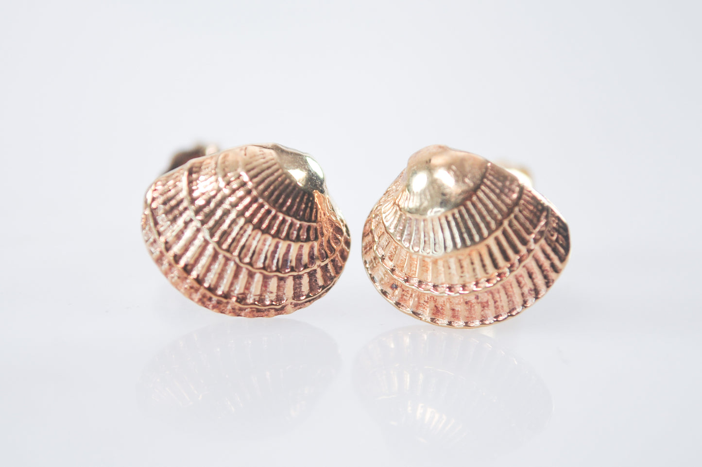 Small Signed 14K Gold Seashell Stud Earrings