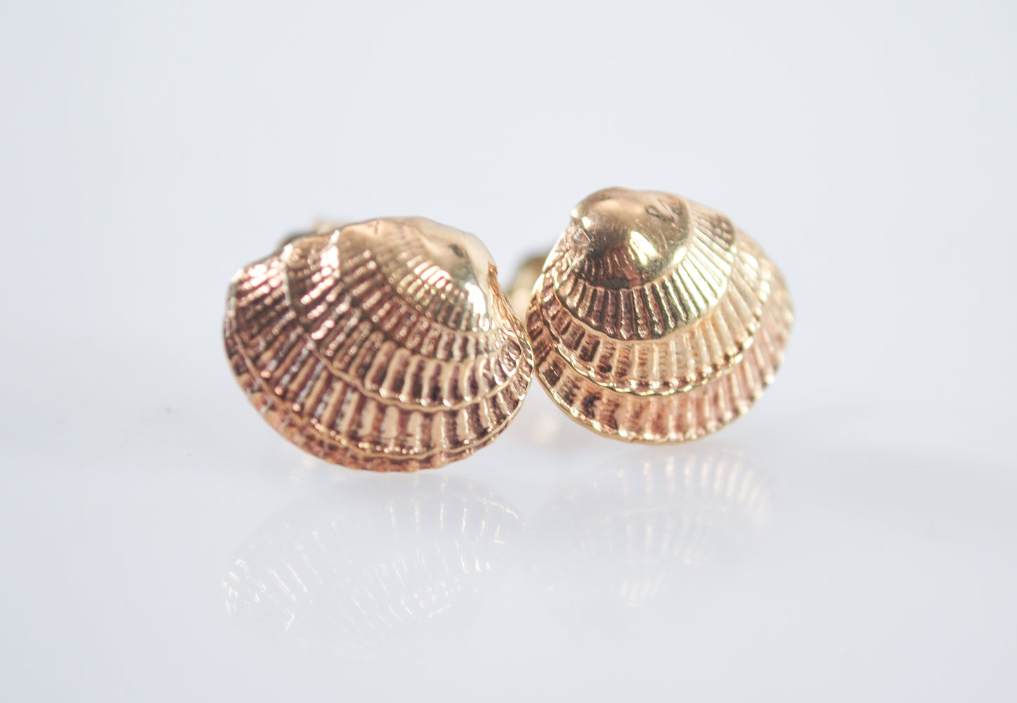 Small Signed 14K Gold Seashell Stud Earrings