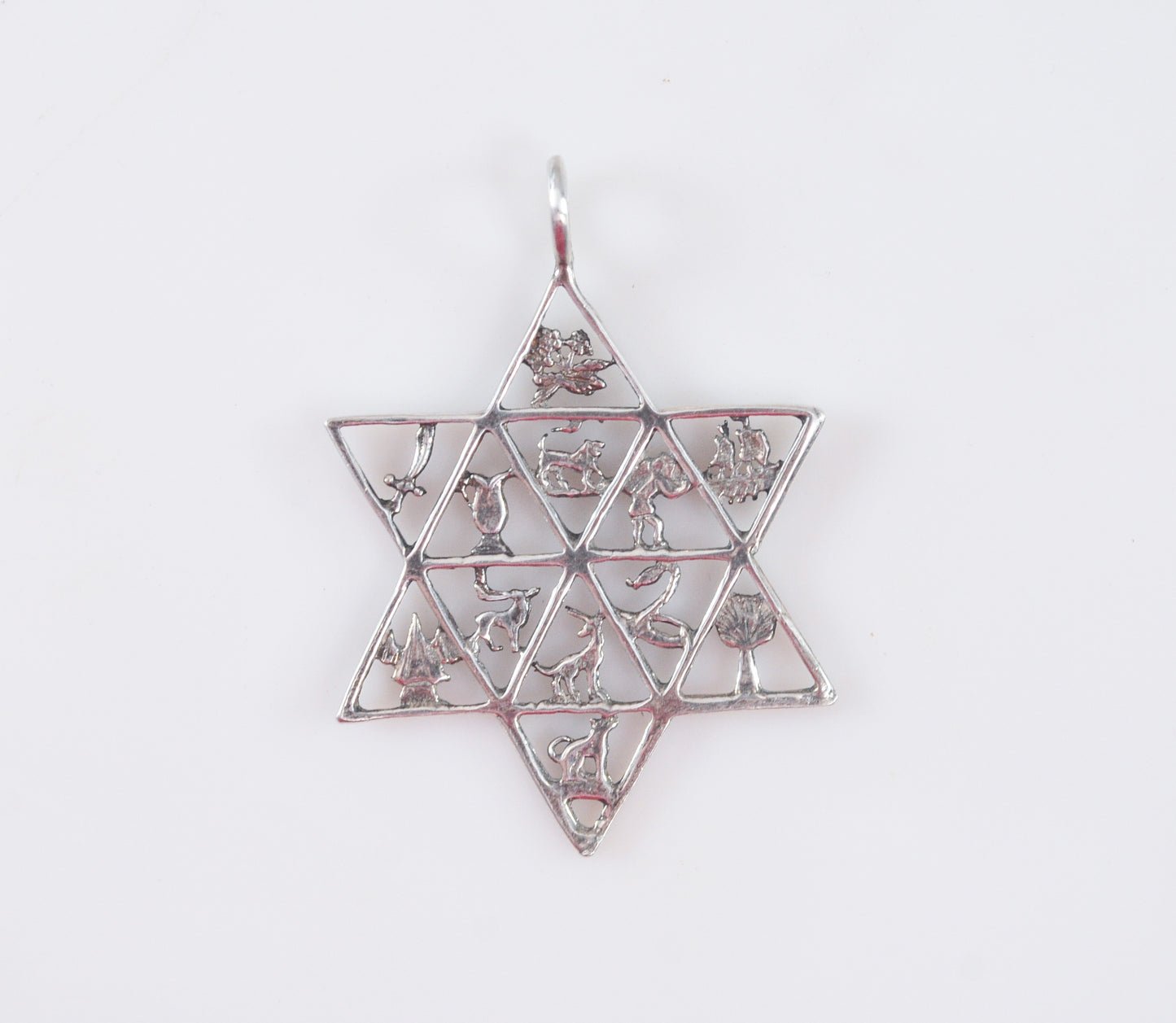 Sterling Silver Twelve Tribes of Israel Star of David Pendant