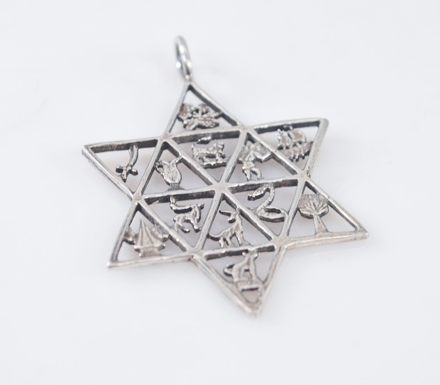 Sterling Silver Twelve Tribes of Israel Star of David Pendant