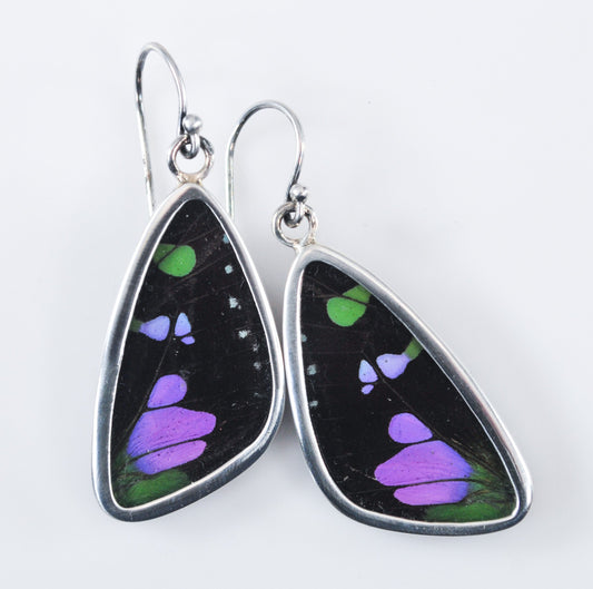 Sterling Silver Genuine Butterfly Wing Earrings