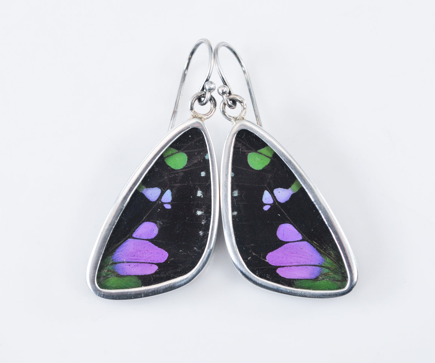 Sterling Silver Genuine Butterfly Wing Earrings