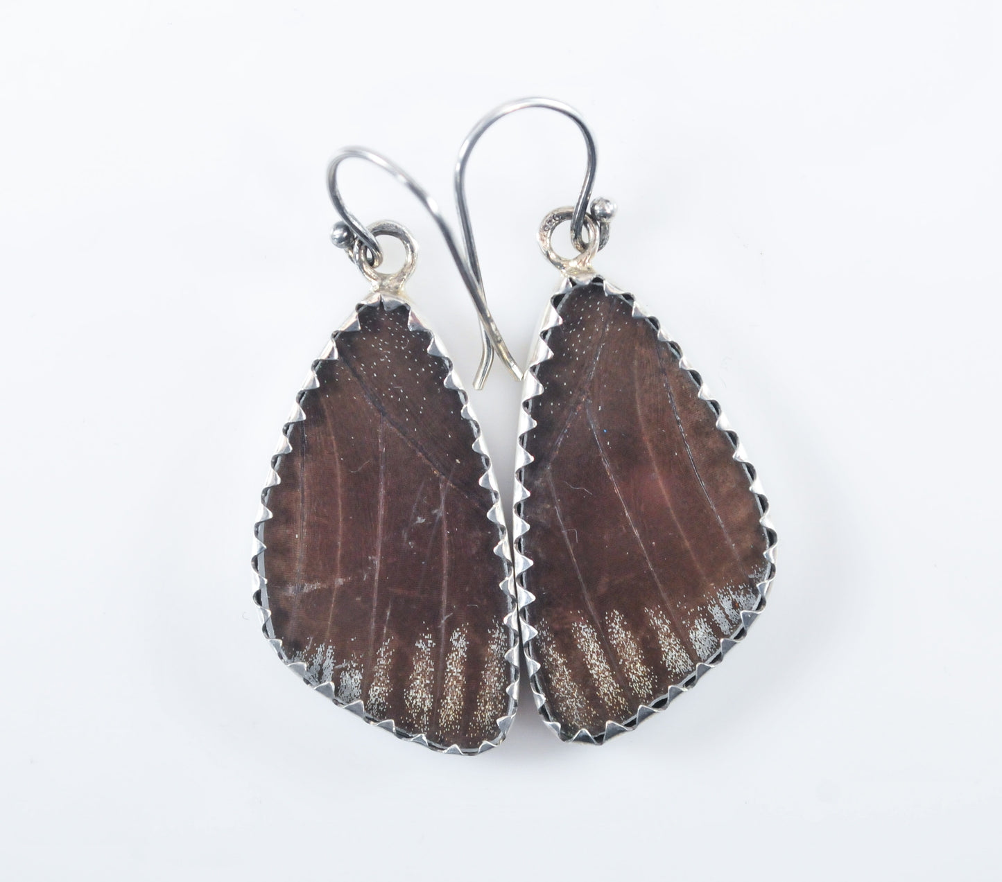 Sterling Silver Genuine Butterfly Wing Earrings