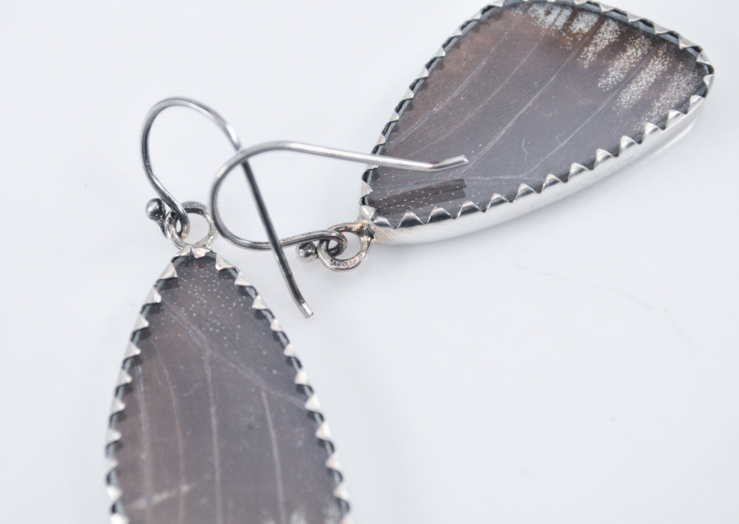 Sterling Silver Genuine Butterfly Wing Earrings