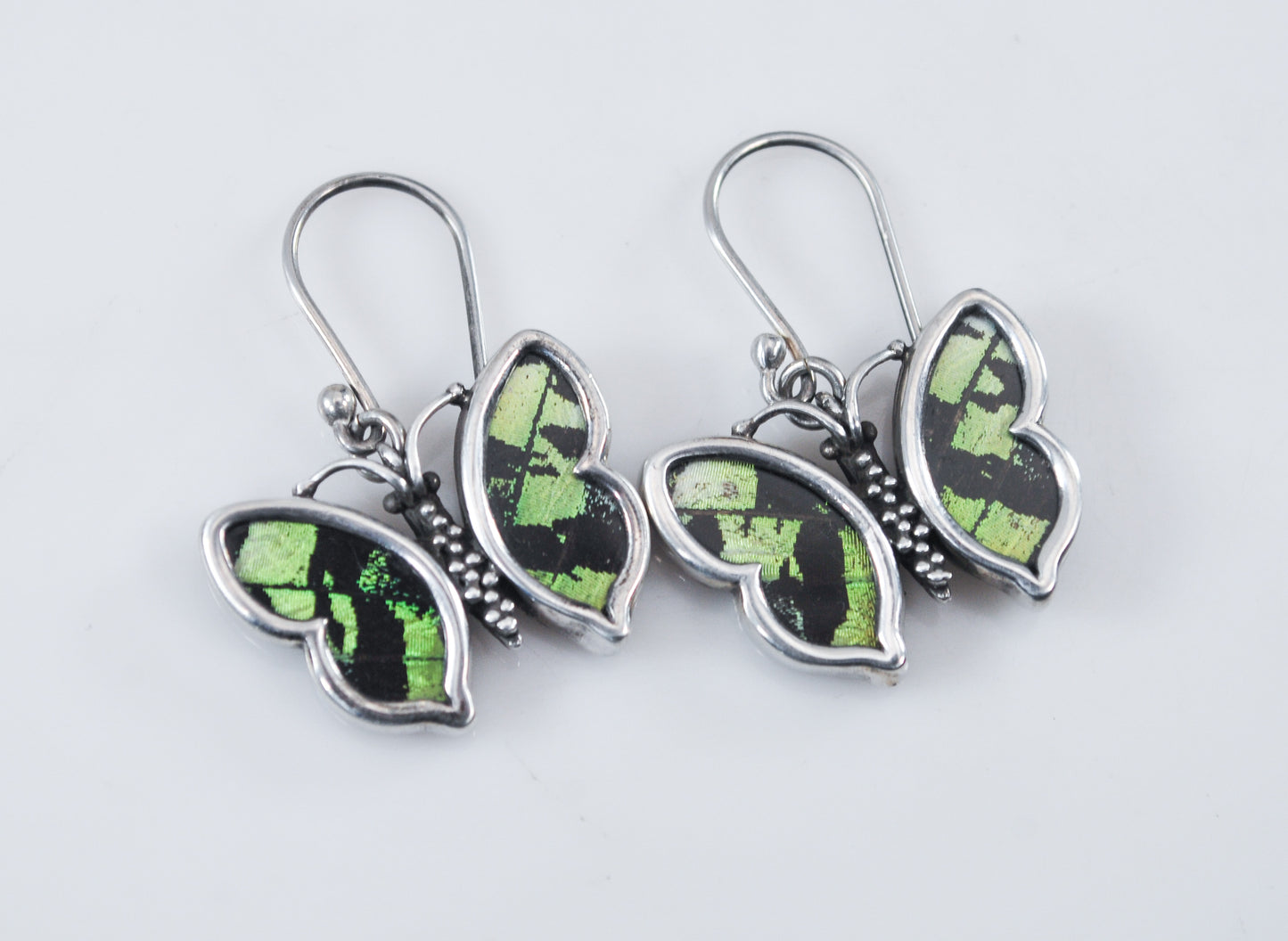 Sterling Silver Genuine Butterfly Wing Earrings