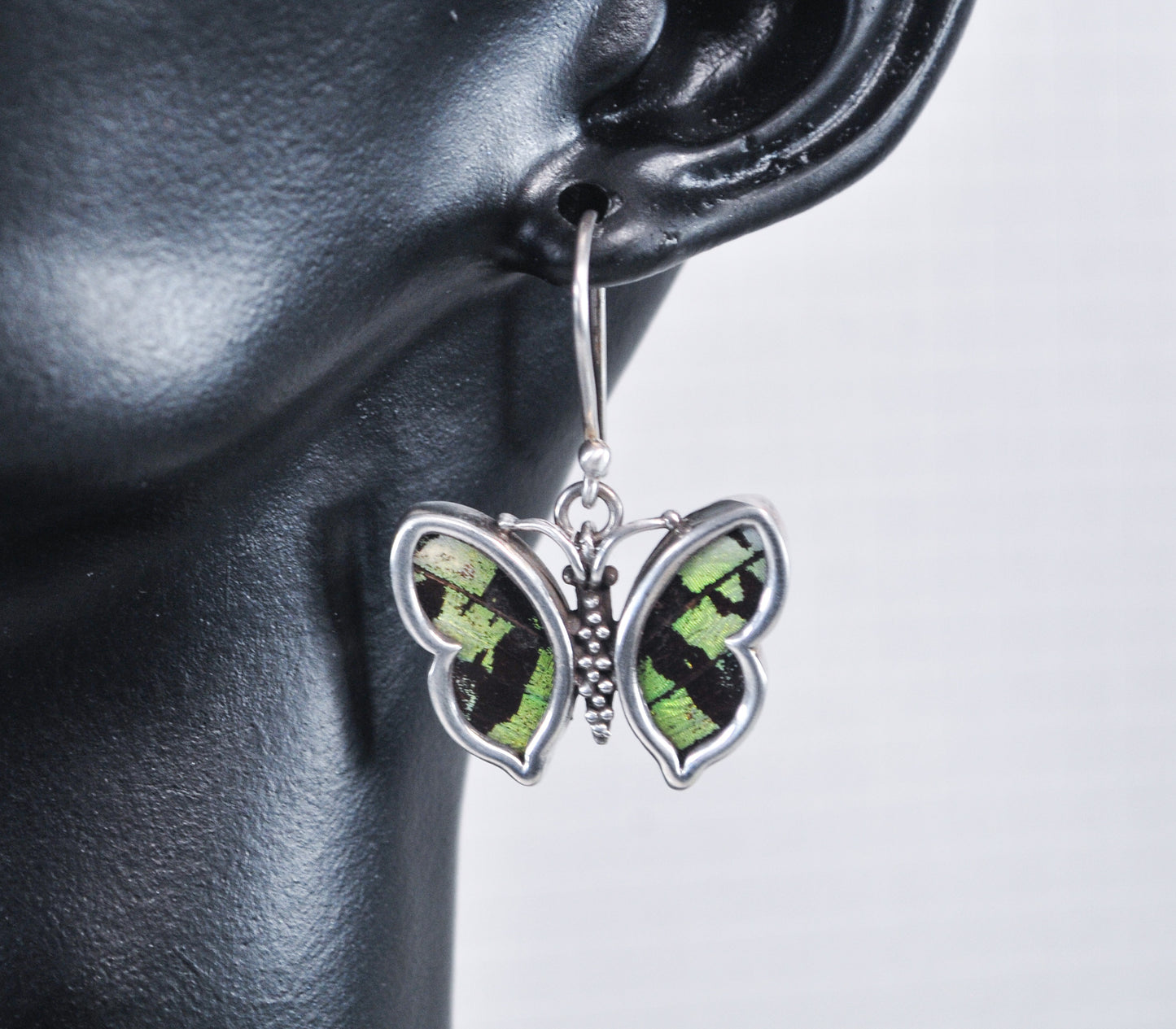 Sterling Silver Genuine Butterfly Wing Earrings