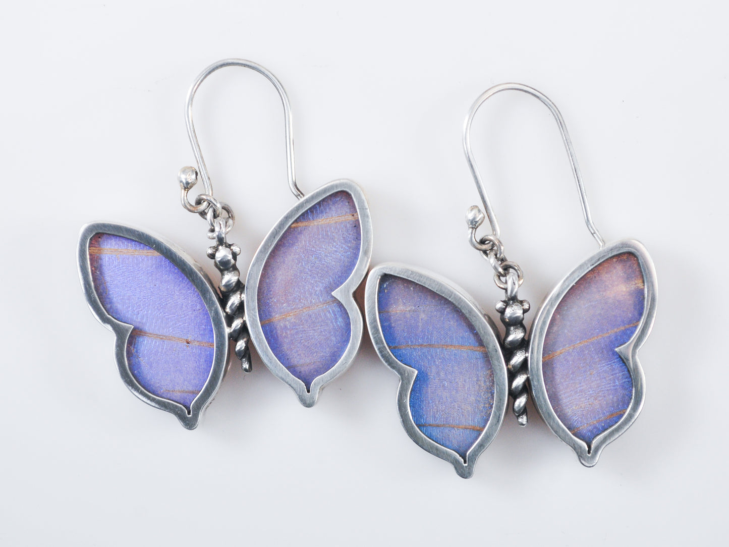 950 Silver Real Butterfly Wing Earrings