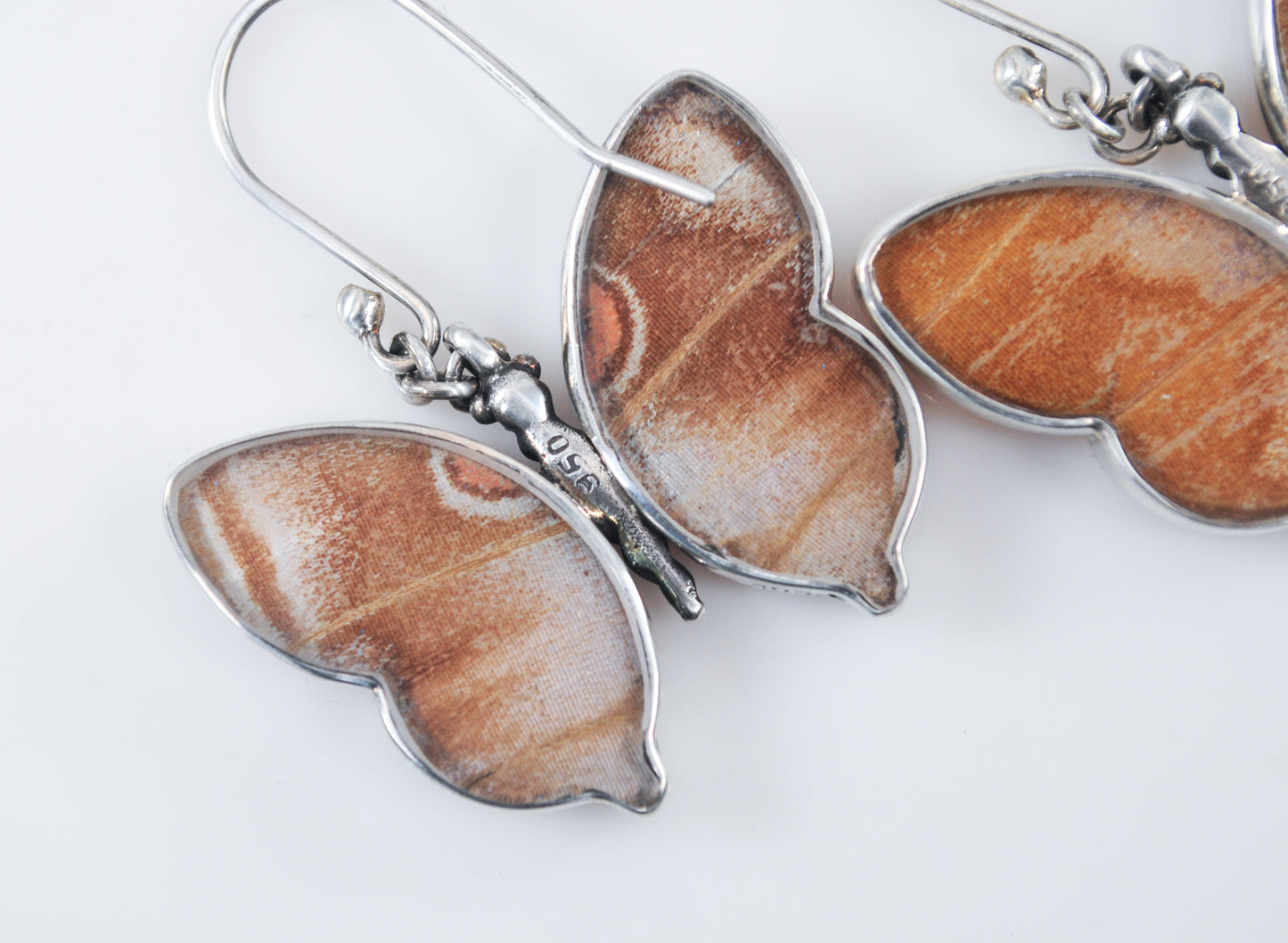 950 Silver Real Butterfly Wing Earrings