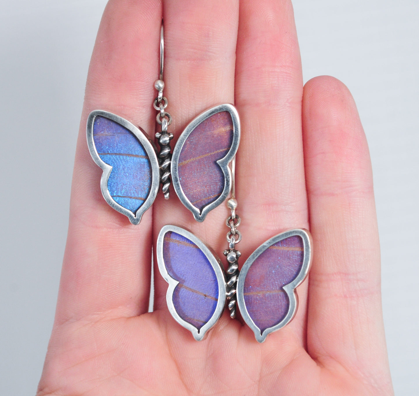 950 Silver Real Butterfly Wing Earrings