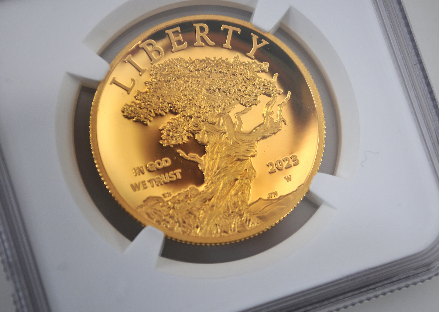 American Liberty Series 1oz Fine Gold High Relief PF70 Coin