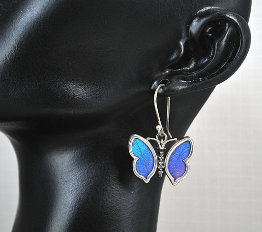 950 Sterling Silver Genuine Butterfly Wing Earrings