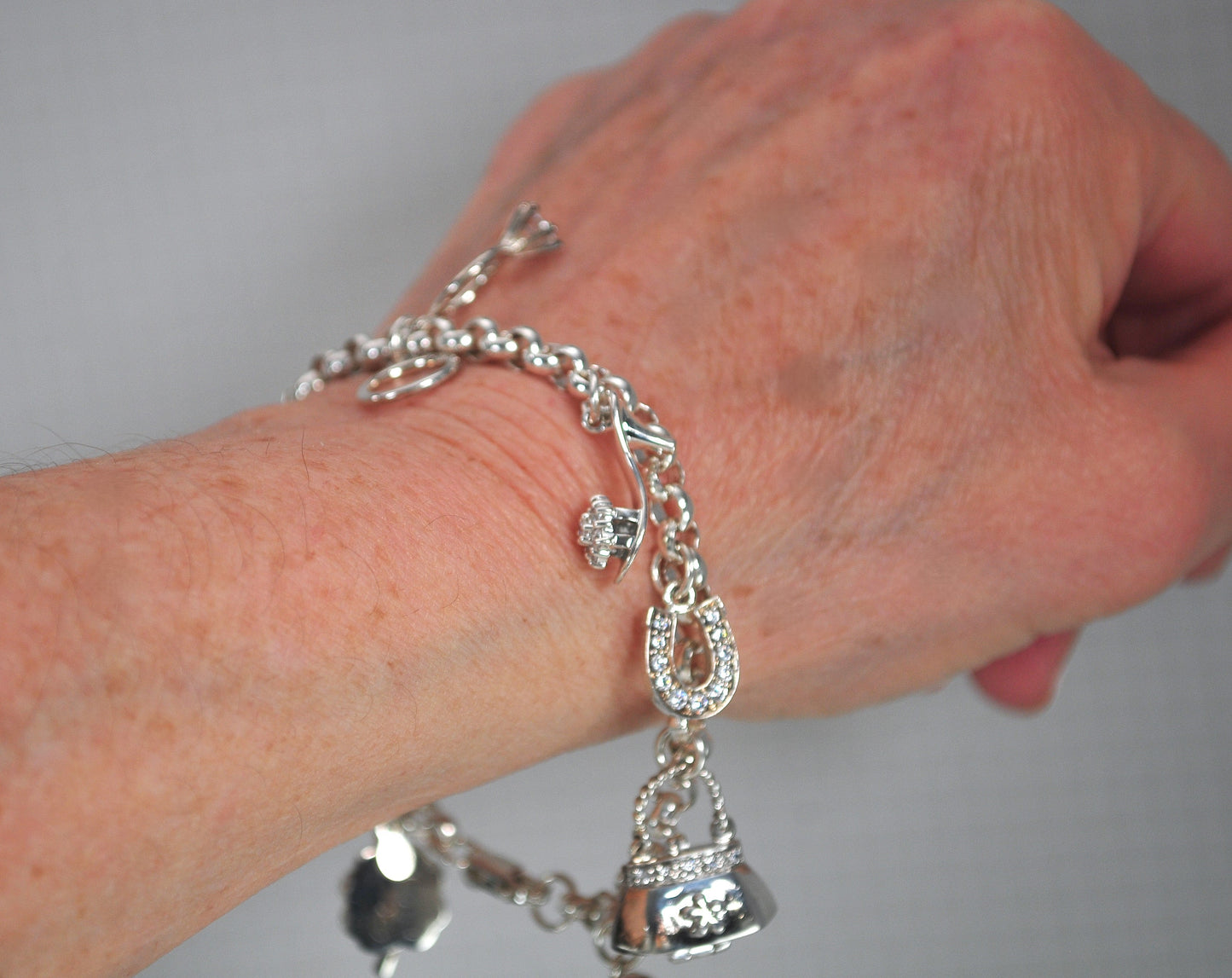 Sparkly Sterling Silver Ladybug Purse Locket Charm Bracelet