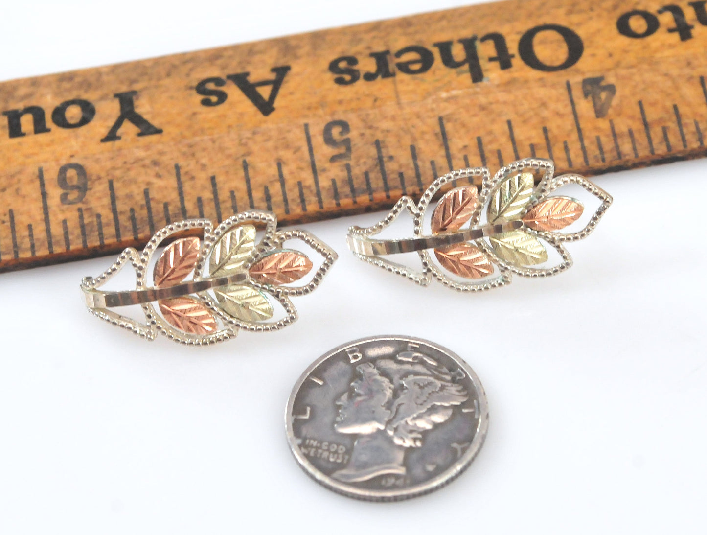 Coleman Black Hills Sterling Silver 12K Gold Leaf Earrings